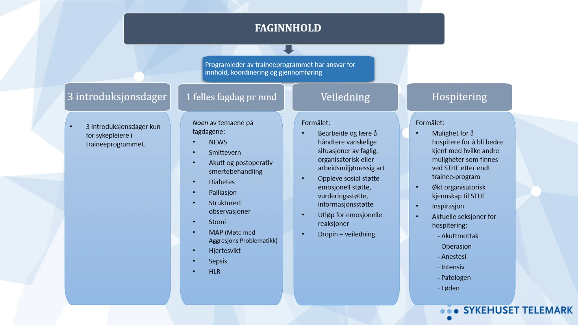 Faglig innhold i trainee-programmet