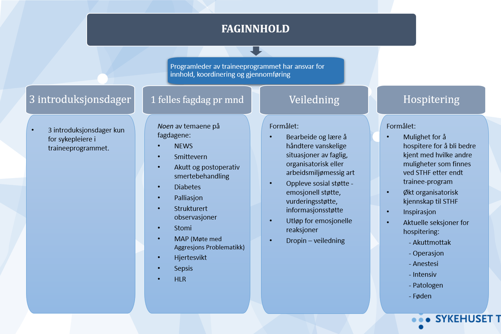 Faglig innhold i trainee-programmet
