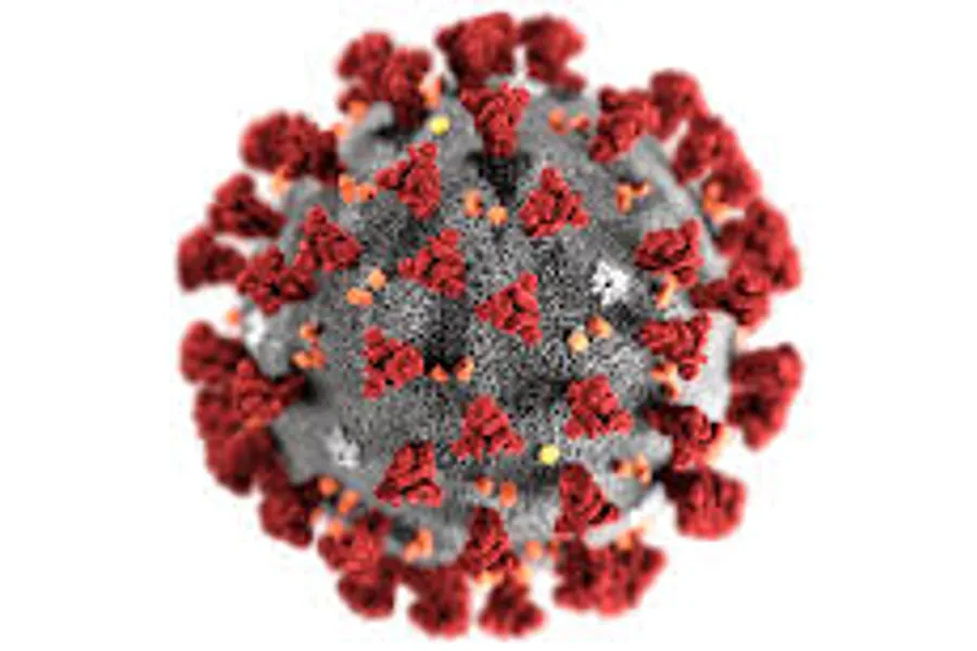 Koronavirus - illustrasjon, CDC, Alissa Eckert