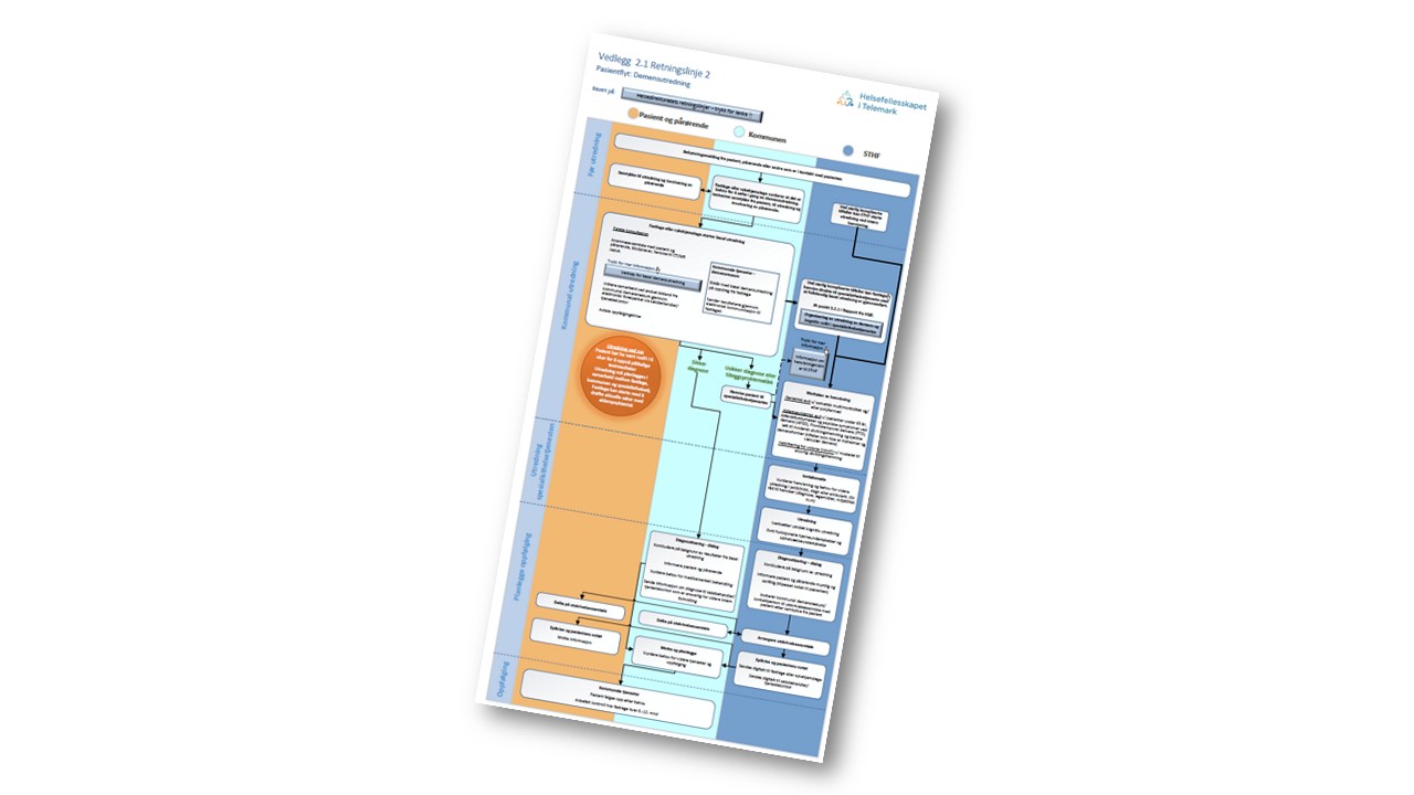 Illustrasjon av flyten