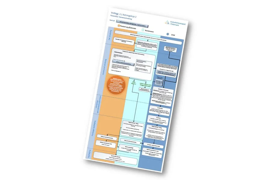 Illustrasjon av flyten