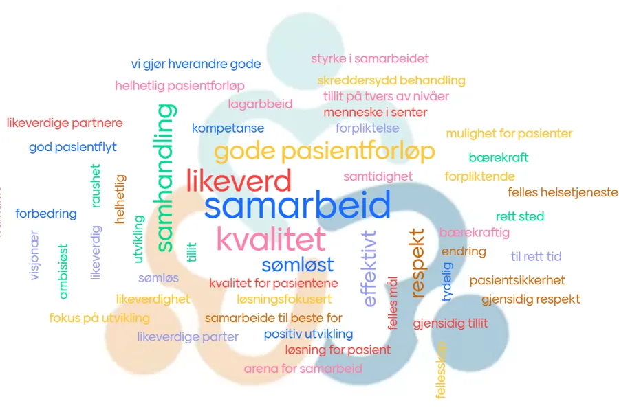 Ordsky, hvor ord som samarbeid, kvalitet, likeverd og gode pasientforløp er de fire største