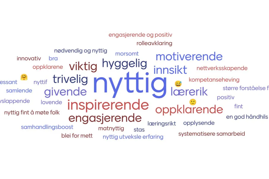 En gruppe med ord om dagen, med nyttig som den aller største, fulgt av inspirerende, engasjerende, oppklarende og motiverende.