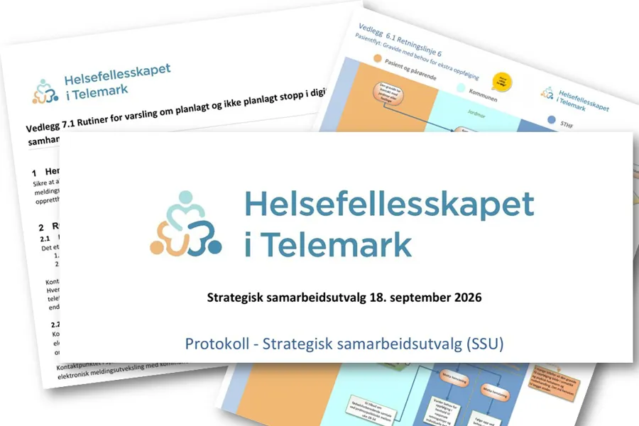 Grafisk brukergrensesnitt, tekst, applikasjon