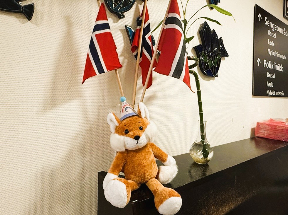 Kosebamsen Bust har flyttet inn på Sykehuset Telemark.
