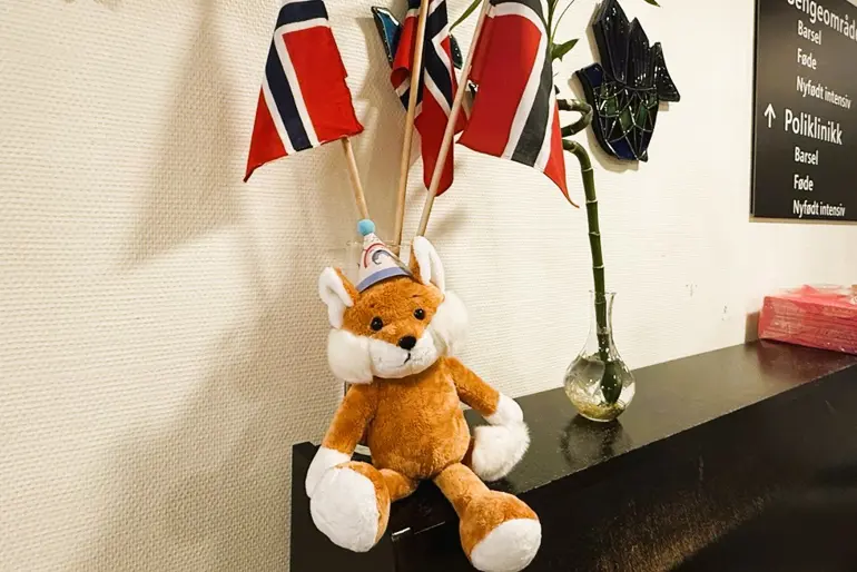 Kosebamsen Bust har flyttet inn på Sykehuset Telemark.