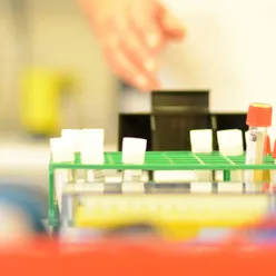 A close-up of a toy