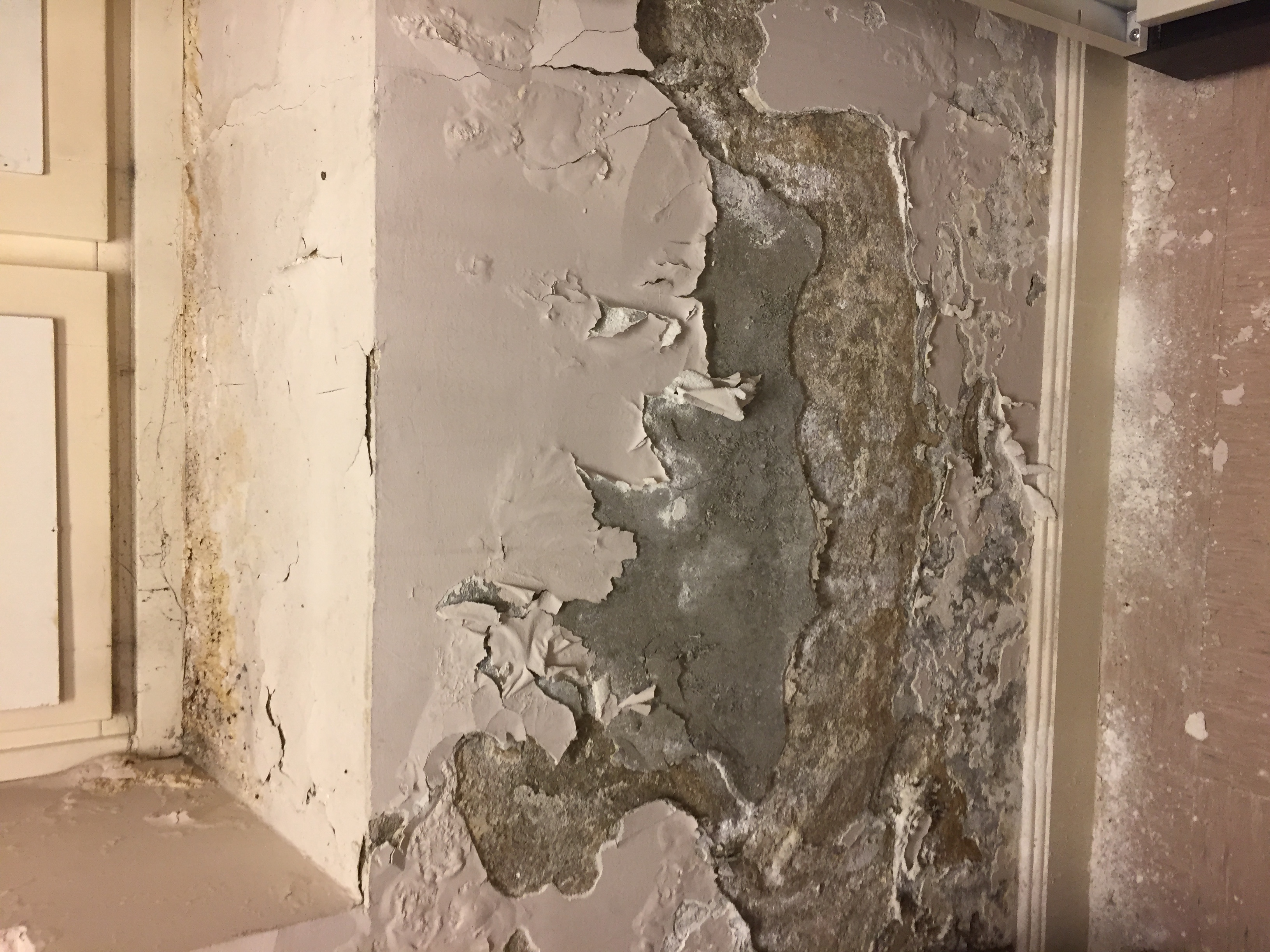 Illustrasjonsfoto;: fukt og mugg