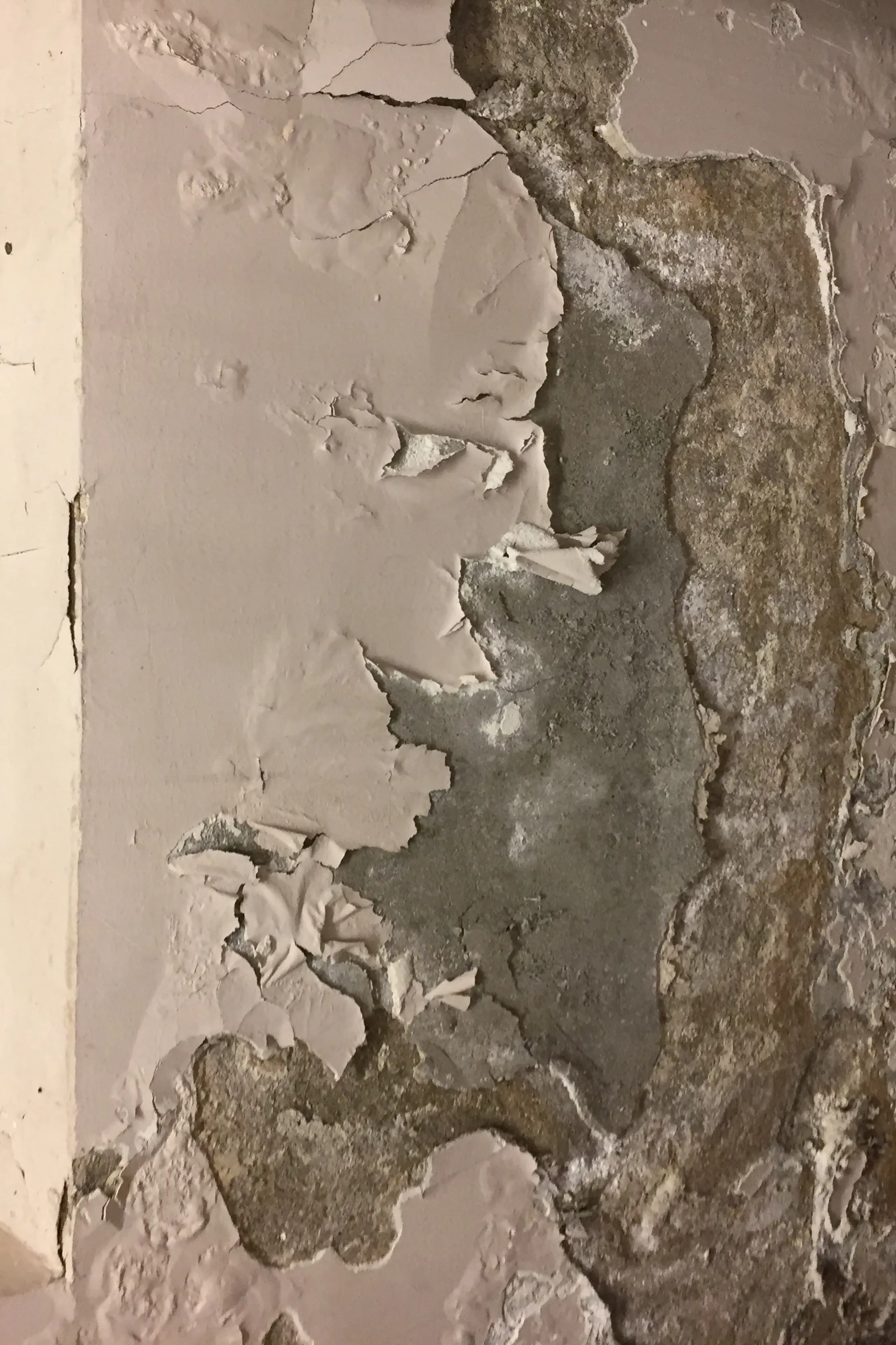 Illustrasjonsfoto;: fukt og mugg