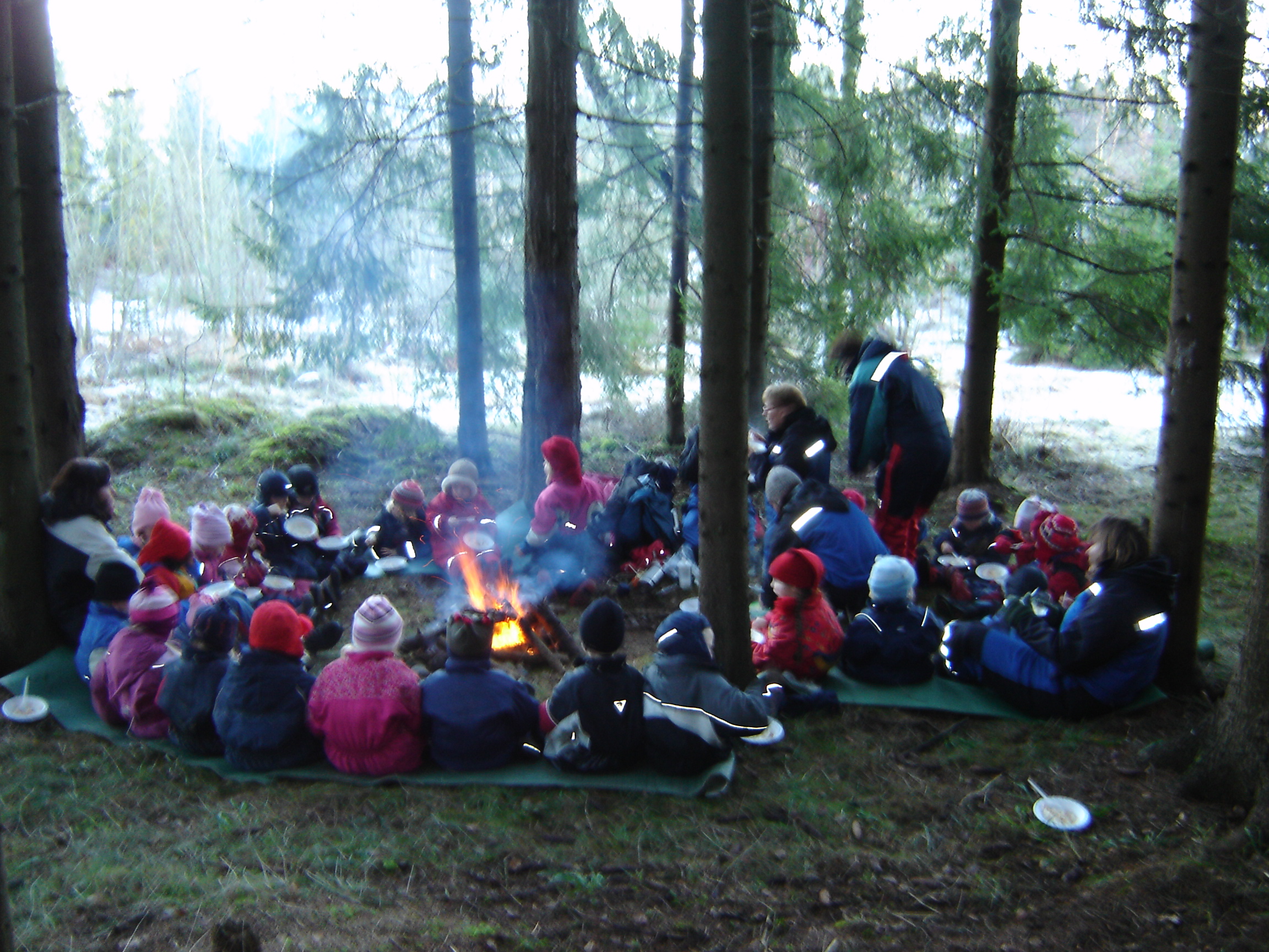 En gruppe mennesker som sitter i skogen